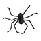 Animated Hairy Black Spider Halloween Decoration 31 1/2" x 8 1/4